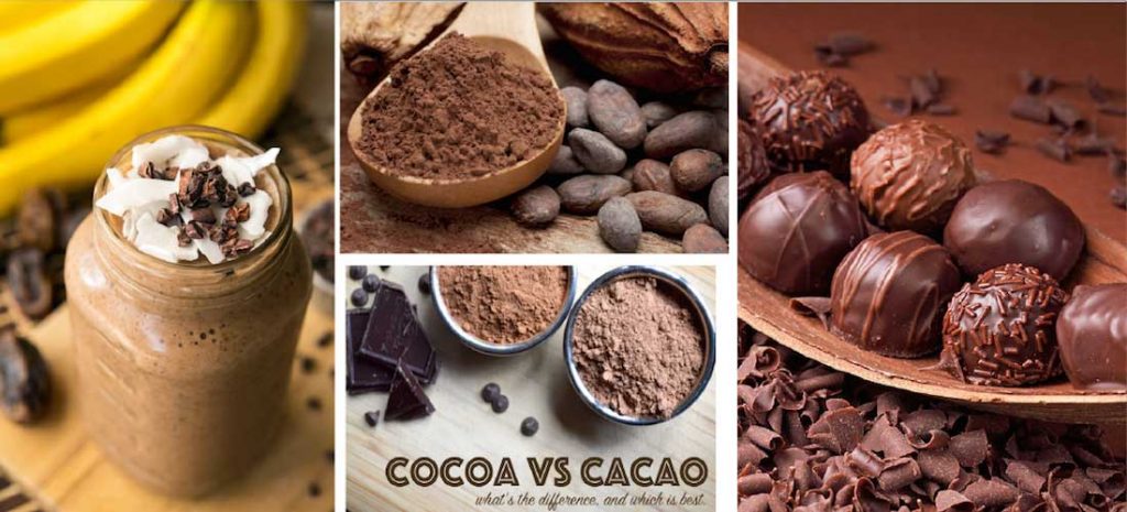 cacao o cocoa