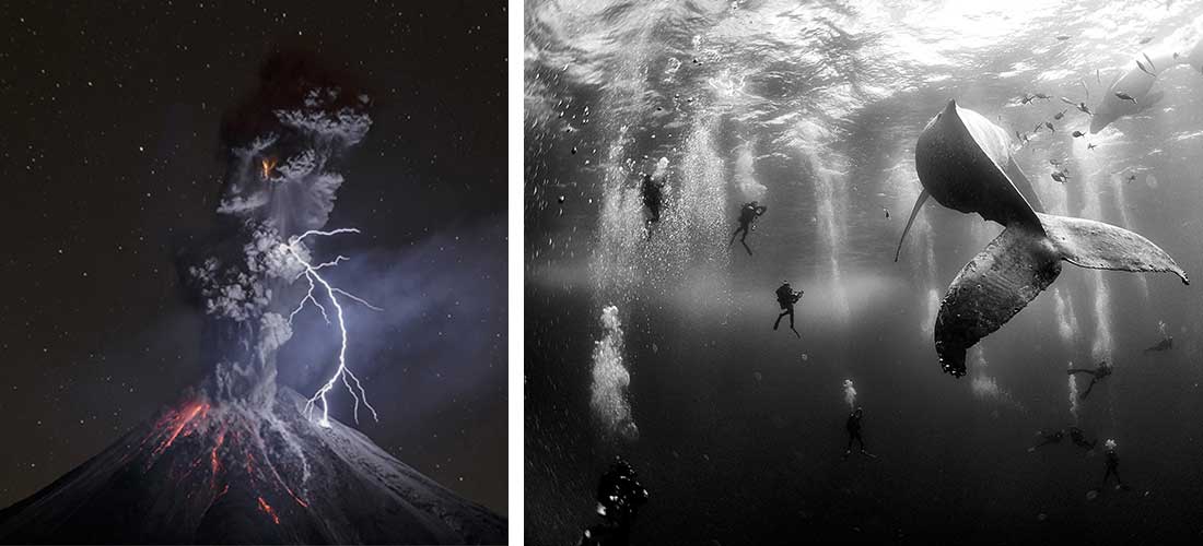 3 exposiciones que no te puedes perder este mes