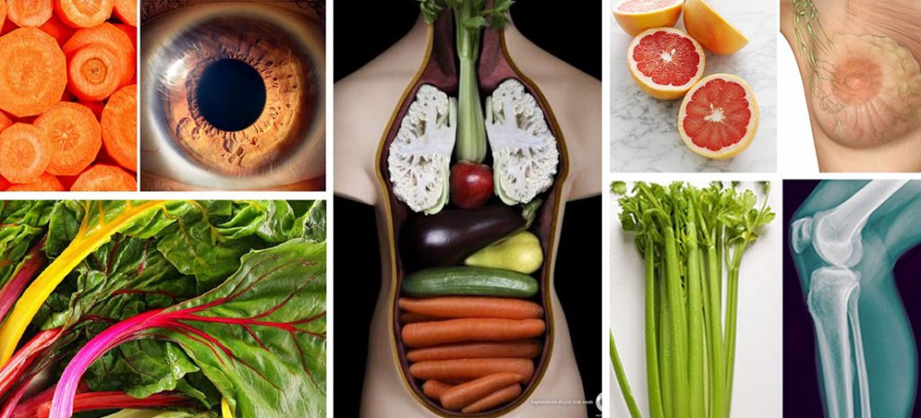 5 maravillosos alimentos que asemejan órganos del cuerpo