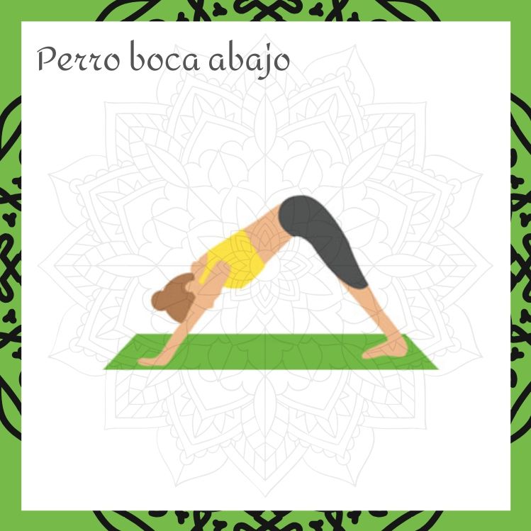 posturas de yoga perro boca abajo