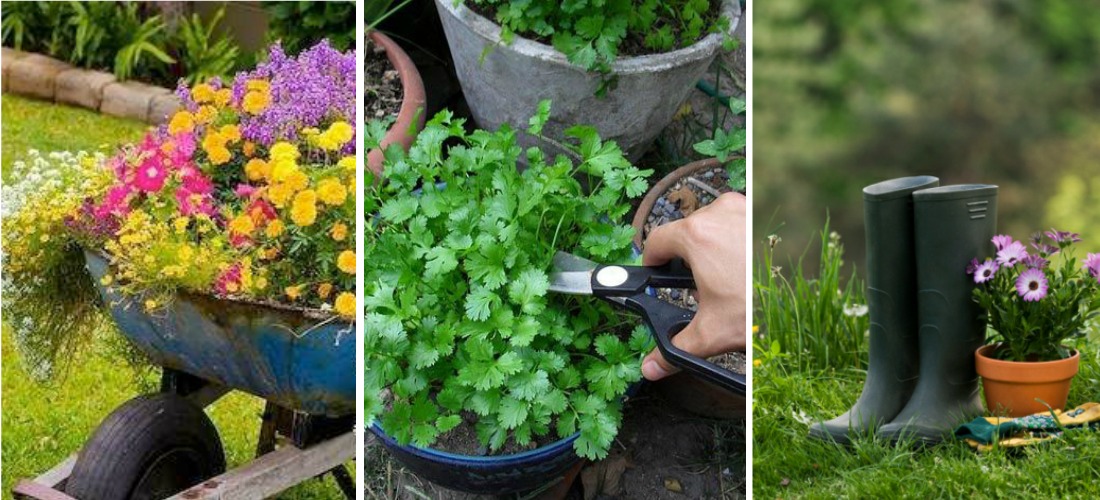 10 cosas que las amantes de la jardinería deben tener