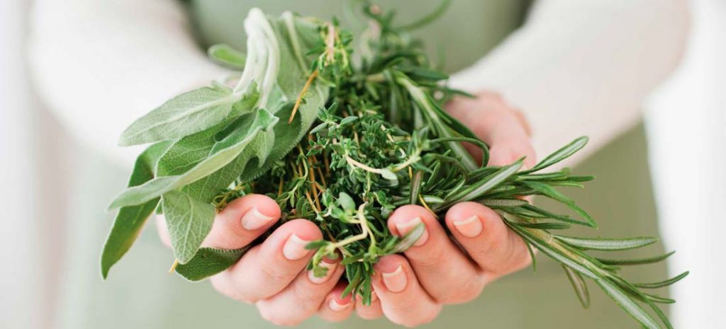 plantas medicinales para regular las hormonas