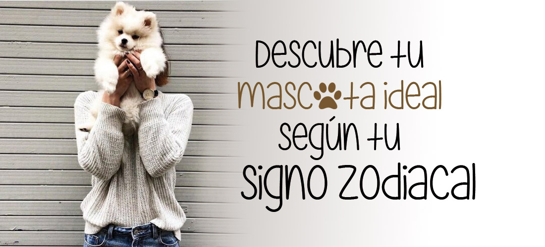 Qué mascota deberías tener de acuerdo a tu signo zodiacal