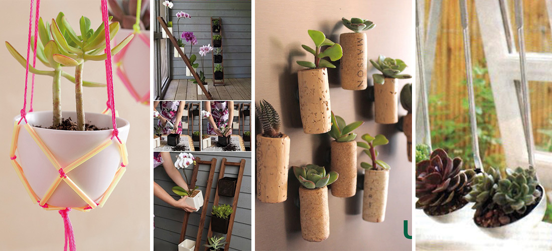 10 creativas ideas DIY para alegrar tu casa con plantas