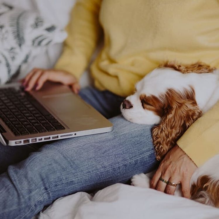 mujer trabajando con perrito