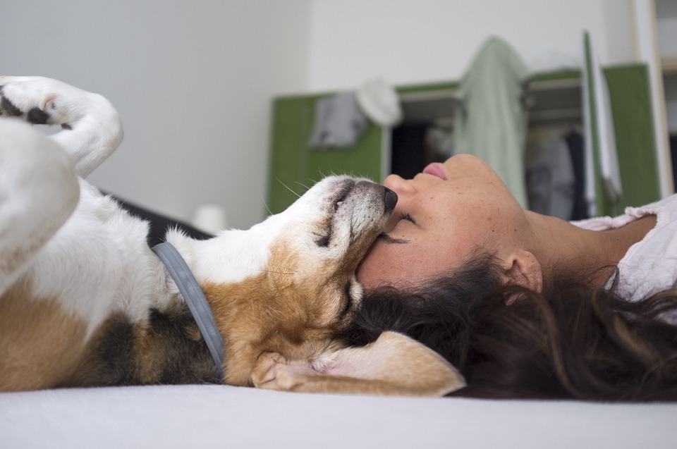 perro y mujer recostados