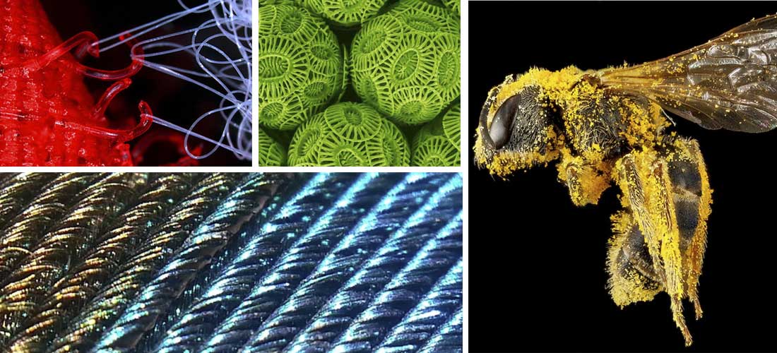 10 asombrosas fotografías de objetos vistos de cerca