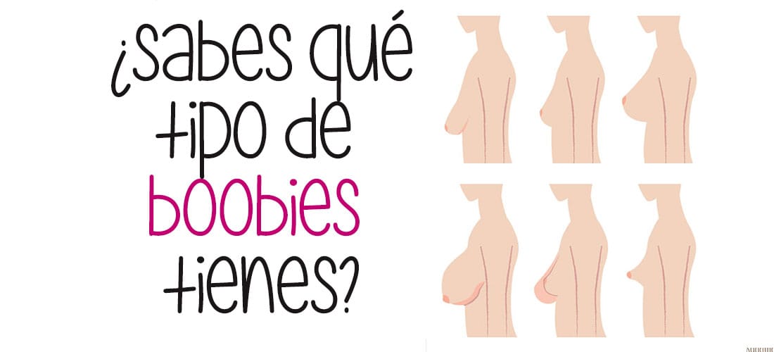 Conoce los 7 tipos de boobies y descubre cuáles tienes