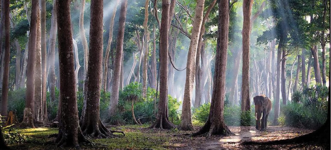 Los 10 lugares más espectaculares del 2016 capturados en fotos