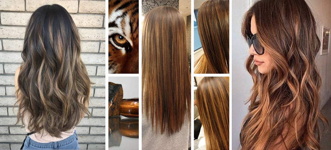 Las morenas amarán el efecto Tiger Eye en el cabello, nueva tendencia 2017