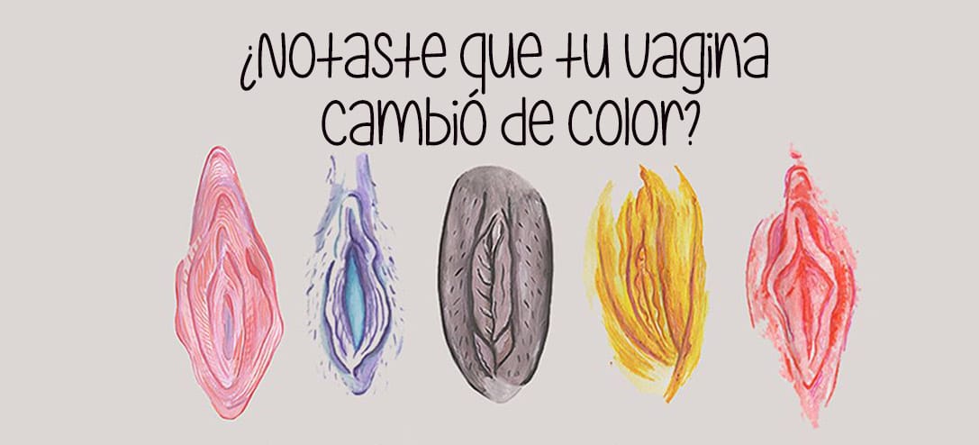 Esto es lo que significa el color de tu vagina