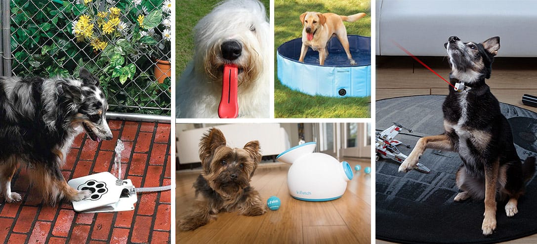 8 juguetes para tu perro que necesitas comprar hoy mismo