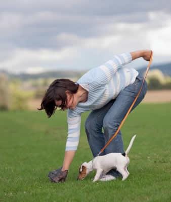 recoge las heces de tu perro