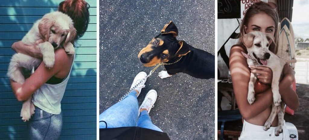 Tips para pasear a tu perro y que no termine en desastre