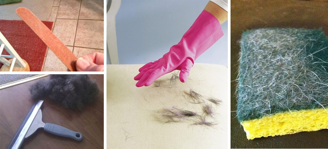 10 trucos infalibles a limpiar tu casa de los pelos de tu mascota