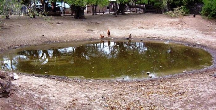 repelentes naturales para mosquitos