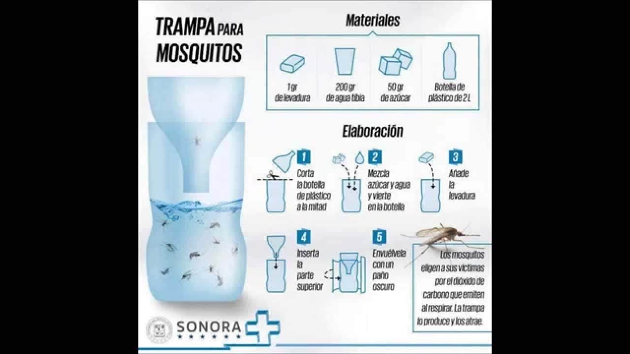 repelentes naturales para mosquitos