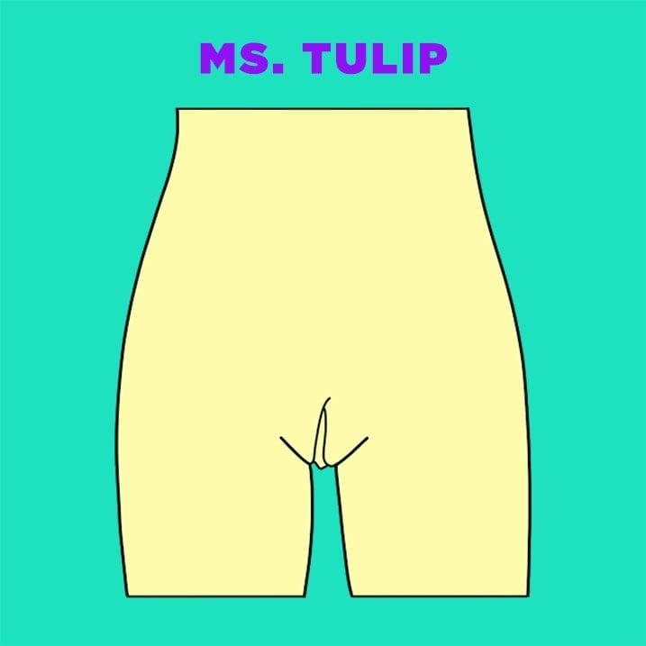 vaginas-tipos-de-vaginas vagina-tipos-de-vaginas