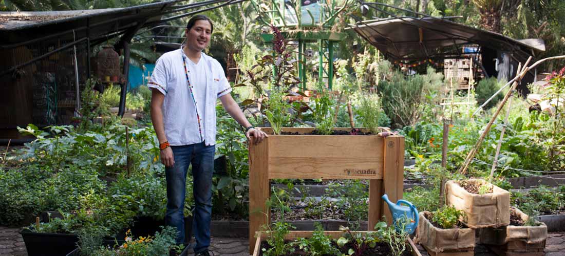 Haz tu huerto urbano fácilmente ¡y cultiva tu comida!