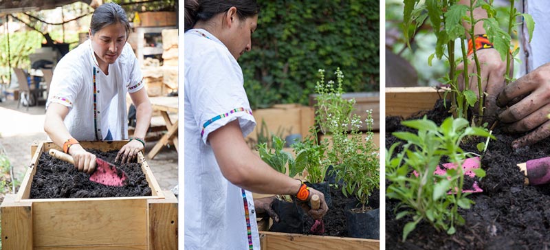 Haz tu huerto urbano fácilmente ¡y cultiva tu comida! 2