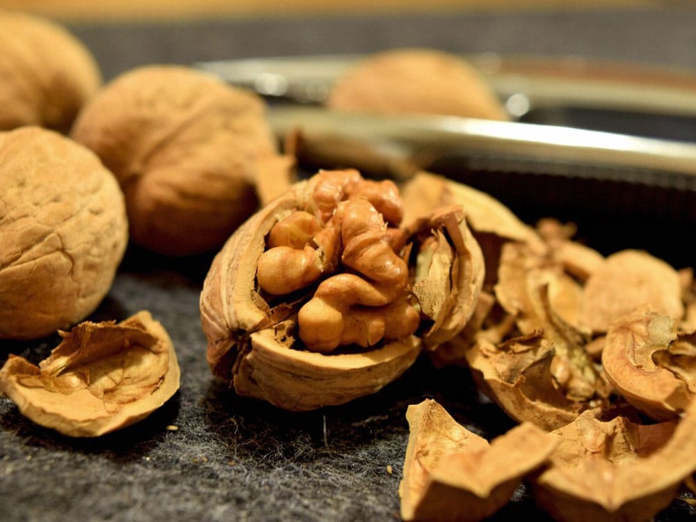 Aceleradores-de-metabolismo-nueces