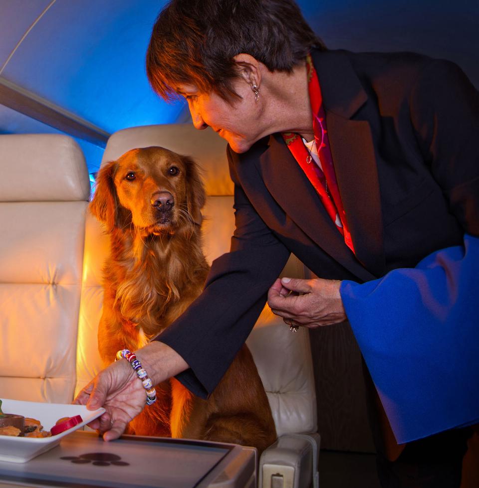 Cómo viajar en avión con tu mascota 1