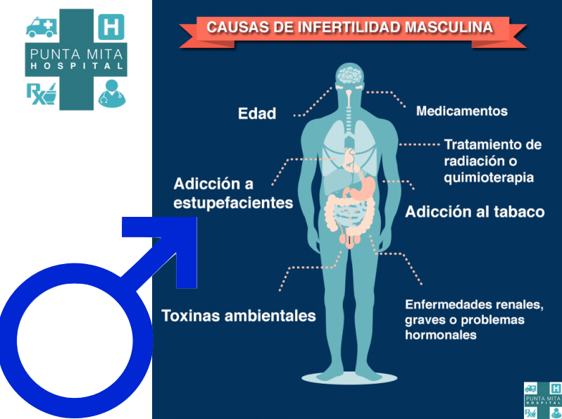 Causas de infertilidad en hombres y mujeres 1