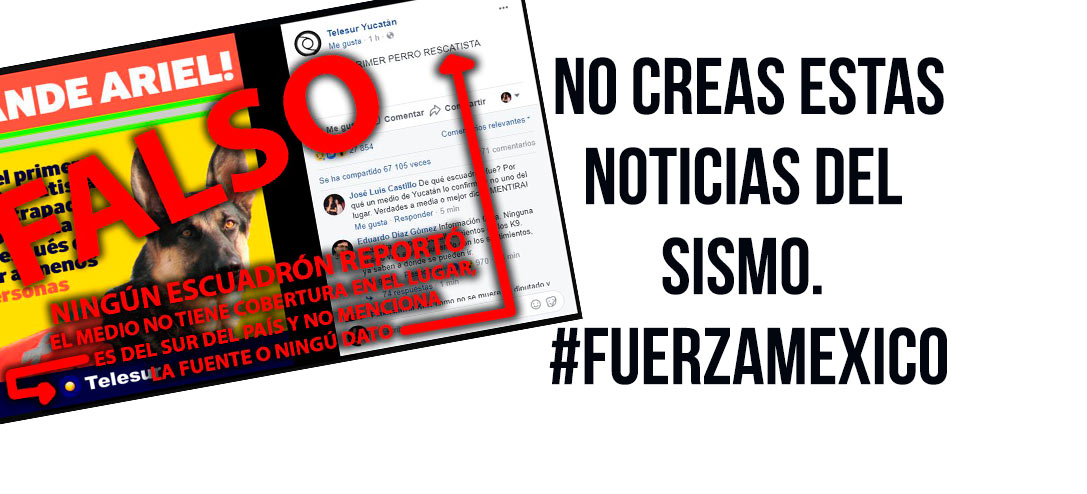 ¿Qué sigue después del sismo?- Cómo puedes ayudar 0