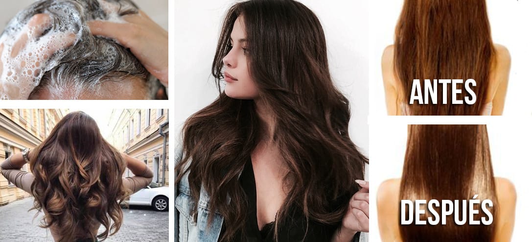 Los mejores 5 shampoos para reparar el cabello maltratado