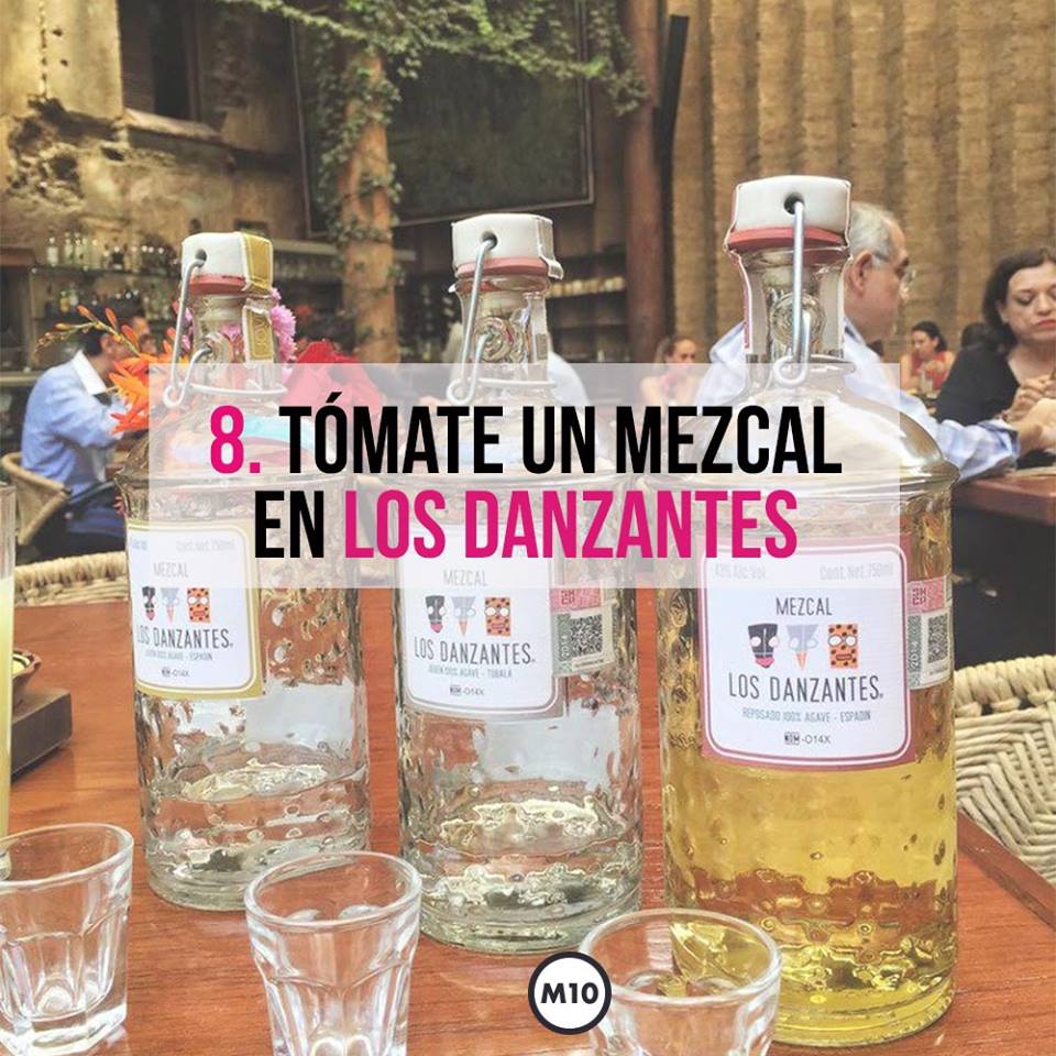 10 cosas que puedes hacer cuando vas a Oaxaca 7