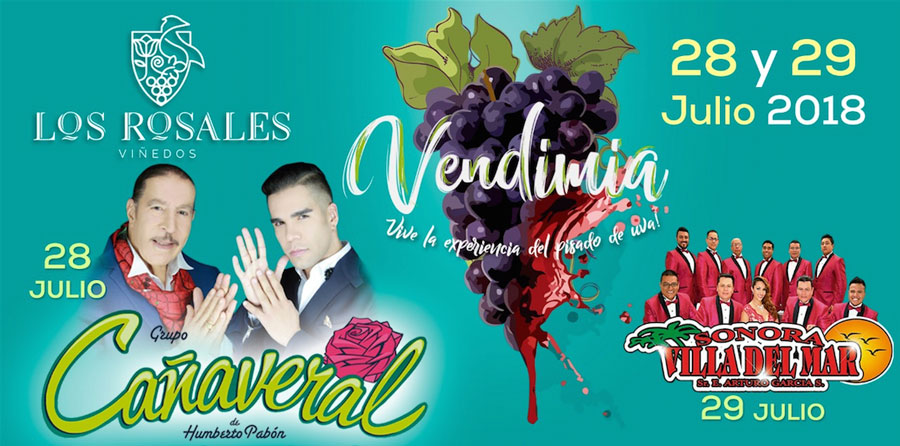 Fiesta de la Vendimia: el evento ideal para las amantes del vino
