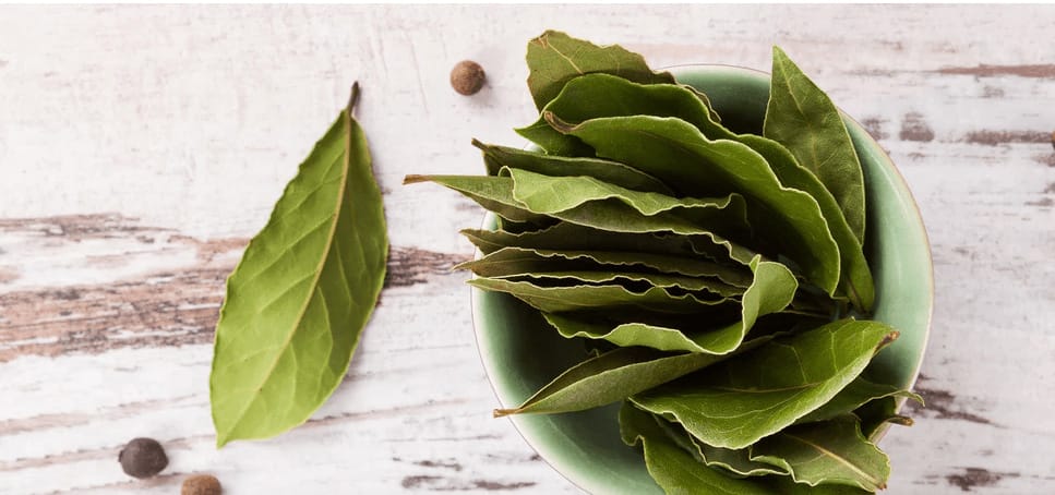 Hoja de laurel, la planta que te reducirá la cintura 0