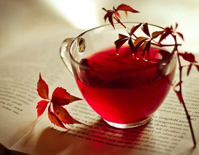 Infusiones para reducir tallas de forma rápida 0
