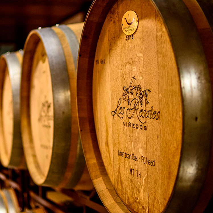 Fiesta de la Vendimia: el evento ideal para las amantes del vino