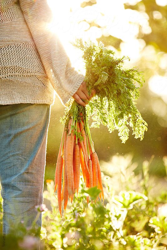 Alimentos que te ayudarán a eliminar la papada 0