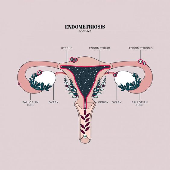 forma de menstruar