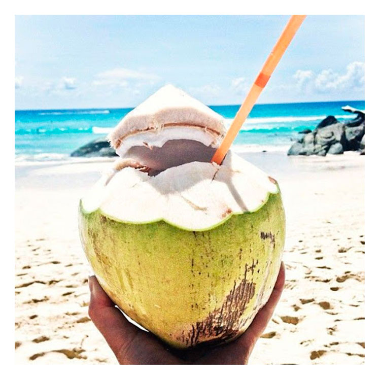 Beneficios del agua de coco que debes conocer, ¡te cambiarán la vida!