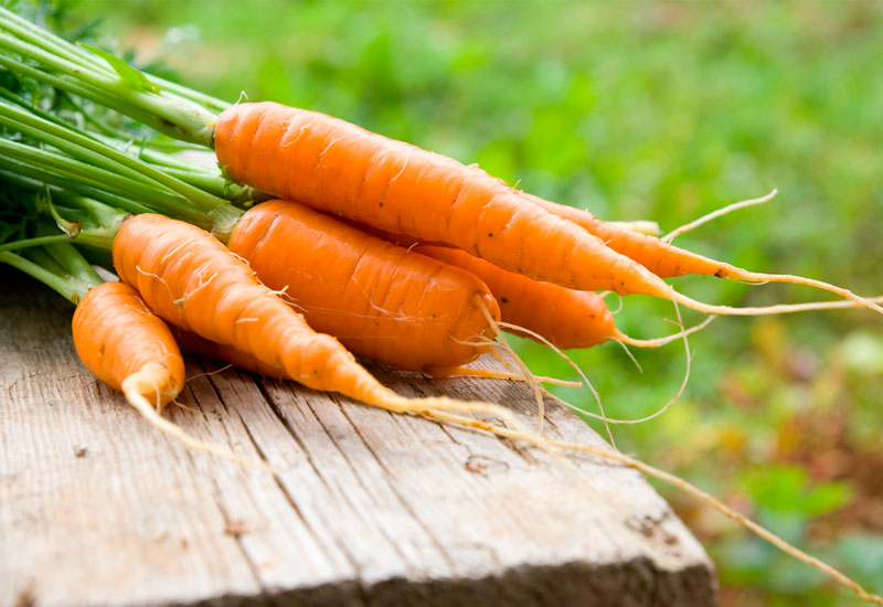 Alimentos con pocas calorías que puedes comer sin culpa 5