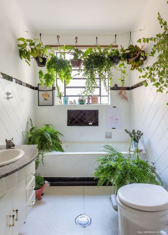 10 ideas para decorar tu departamento pequeño con plantas 6