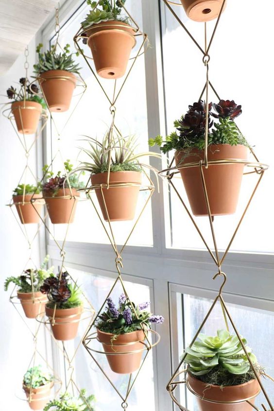 10 ideas para decorar tu departamento pequeño con plantas 3