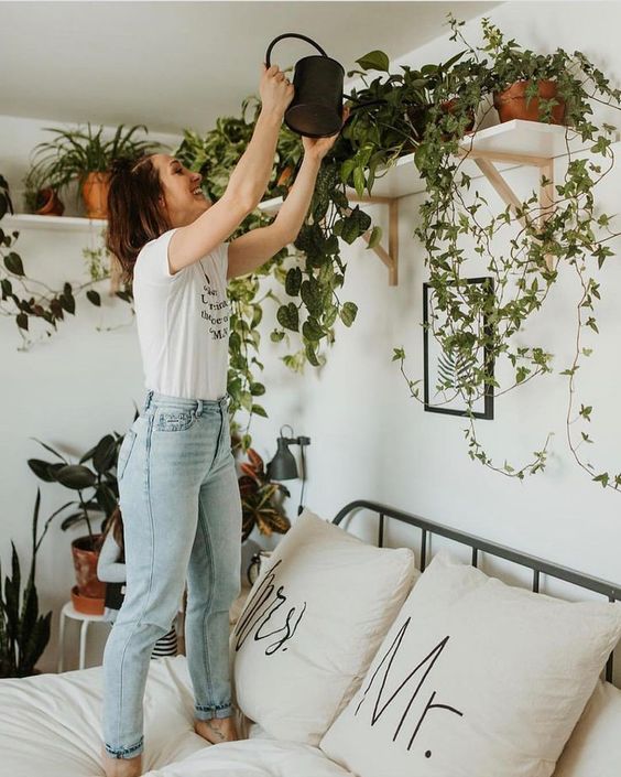 10 ideas para decorar tu departamento pequeño con plantas 7