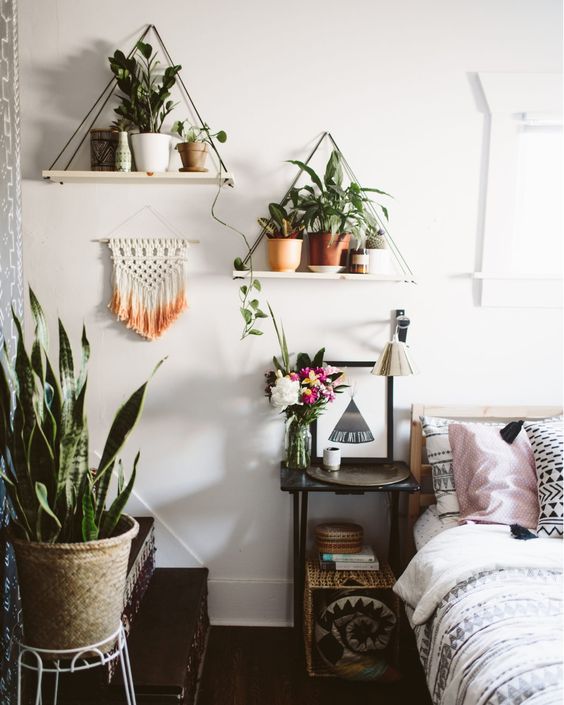 10 ideas para decorar tu departamento pequeño con plantas 1