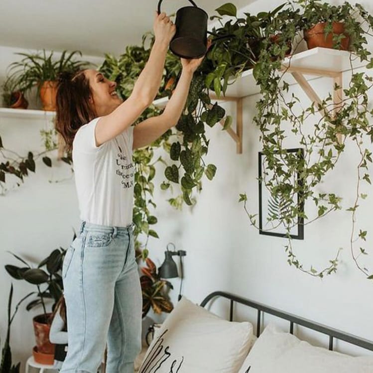 10 ideas para decorar tu departamento pequeño con plantas