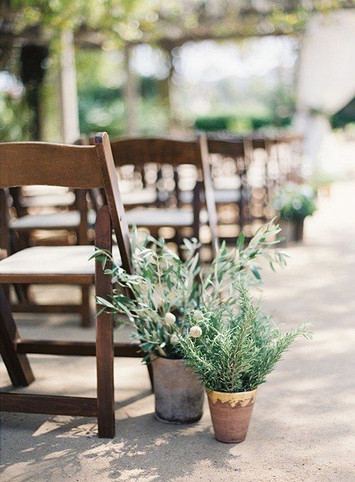 10 ideas de decoración de boda con plantas muy barata 5