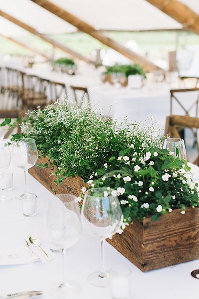 10 ideas de decoración de boda con plantas muy barata 2
