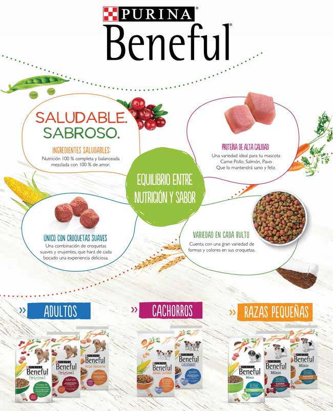 ONE-PAGER_BENEFUL-trivia-mujer-10