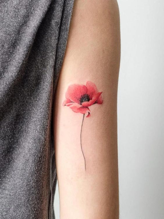 tatuaje de flor roja en acuarela en el antebrazo