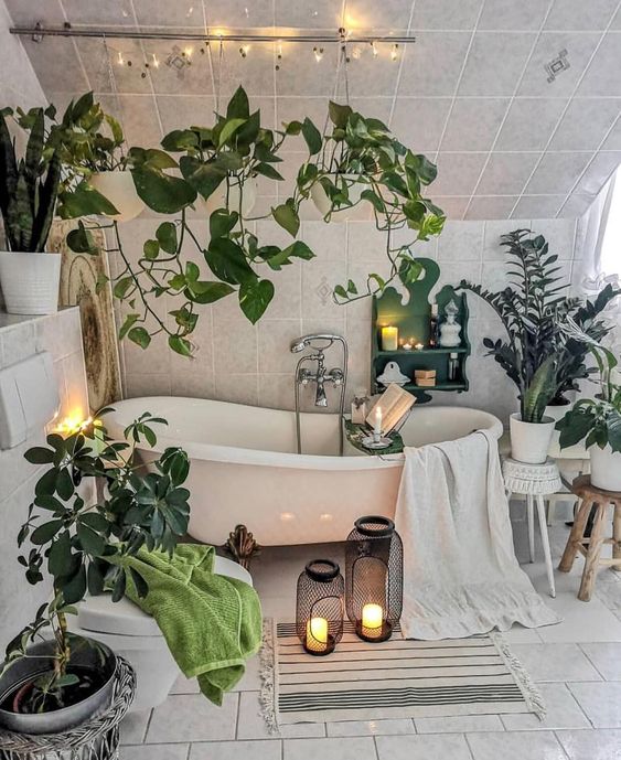 bano de departamento decorado con plantas 