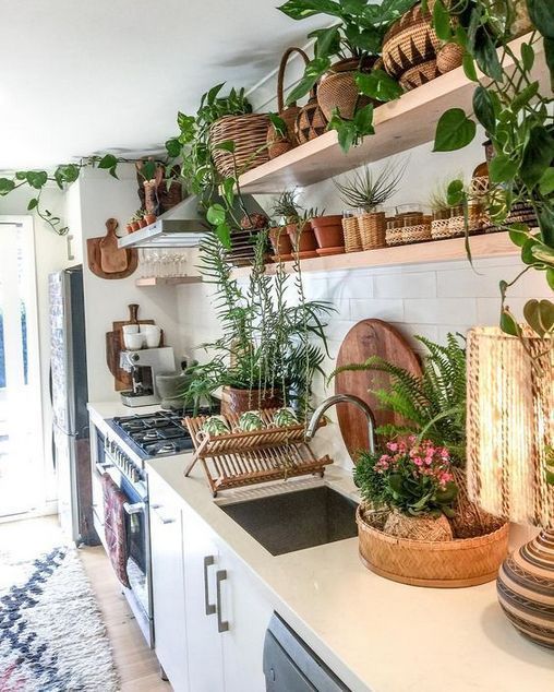 cocina decorada con plantas 