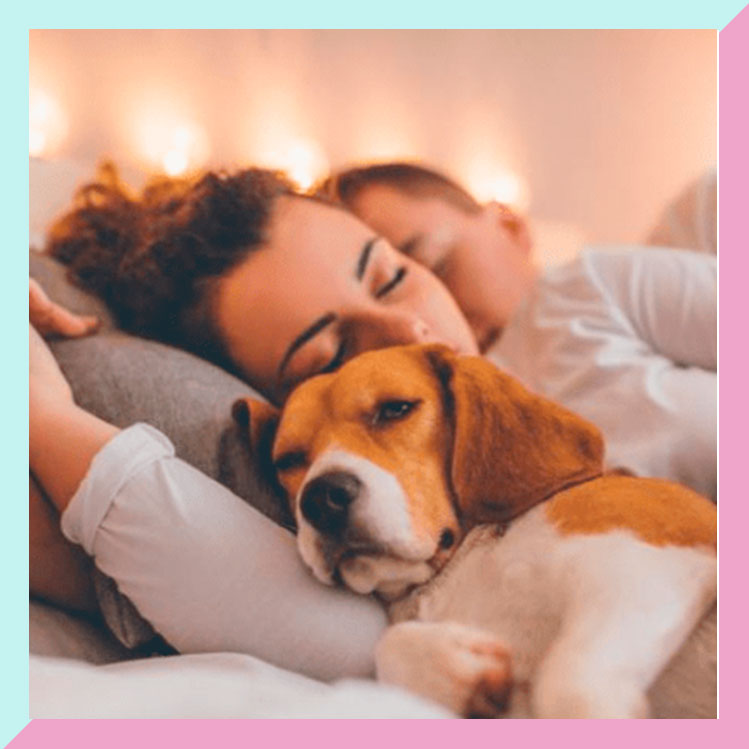 Dormir con tu perro es mejor que con tu pareja, lo dice la ciencia